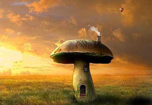 陈茜江寒结局 饭店赚了八十万，男友给我留三千全文最新更新内容