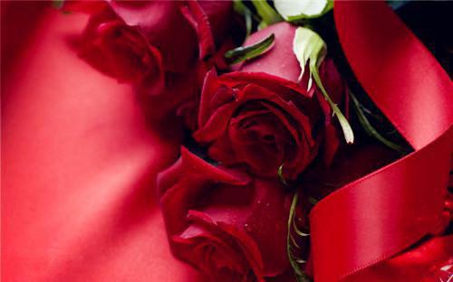 顾锦丞江栩棠顾怀安的最新章节小说 江栩棠顾锦丞小说全文阅读