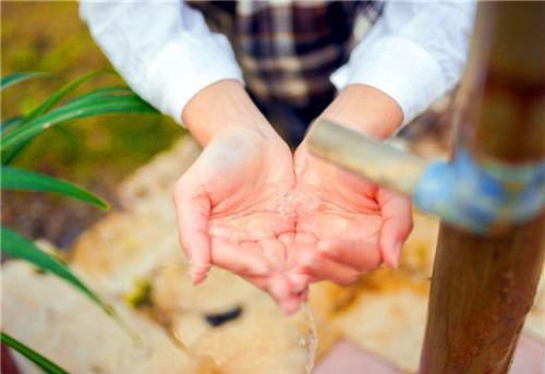 文秀的最新章节小说 过年我用猪饲料宴请催婚亲戚文秀大结局