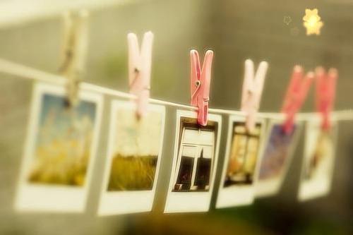 《待到来年桃花杀》免费完整版在线阅读【连载】