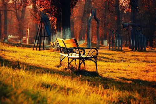 温语顾淮安冉最新章节更新 嫁死对头当天，初恋哭晕在礼堂小说最新章节列表