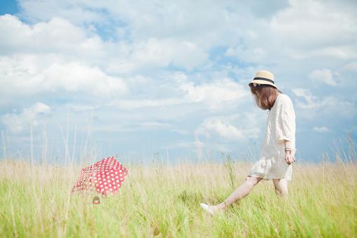苏姜盼厉钟衍最新章节内容 豪门婚殺：亡妻归来，厉总请接招知乎小说