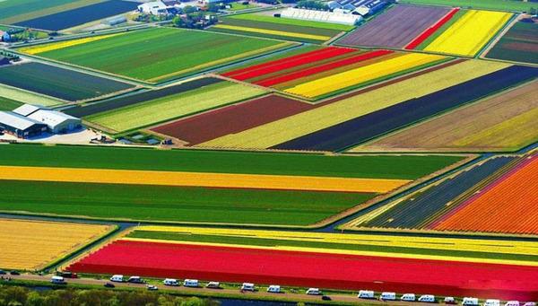 时光尽头吻过你：结局+番外爱恨纠葛全文阅读（纪疏雨薄斯迎）最新章节_时光尽头吻过你：结局+番外爱恨纠葛全文阅读