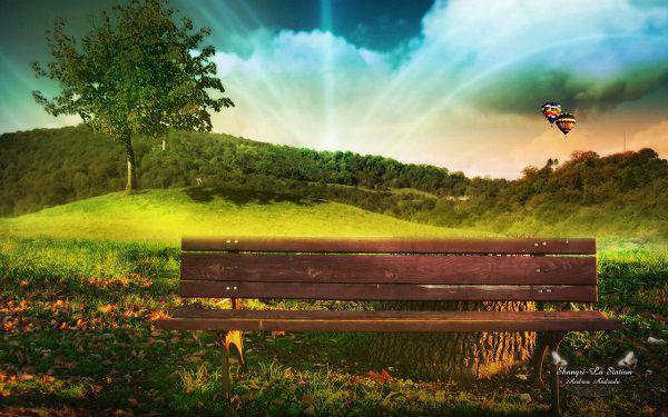 元荷元辰元薇小说名 重生师姐看见弹幕小说完整版免费