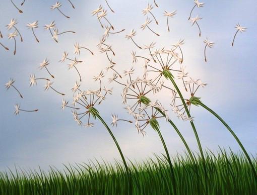 苏念语李澈江明珠免费阅读最新章节结局 绣帕犹存故人香小说全文阅读