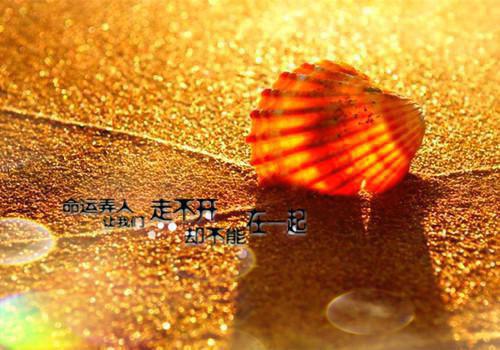 许栀梨宋砚辞笔趣阁免费阅读 死后才说爱我小说全文免费