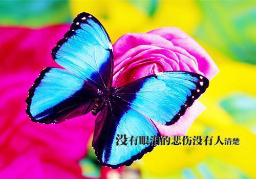 齐小姐宋瑶大结局后续 穿成恶女双雌后,我和闺蜜联手暴富了笔趣阁