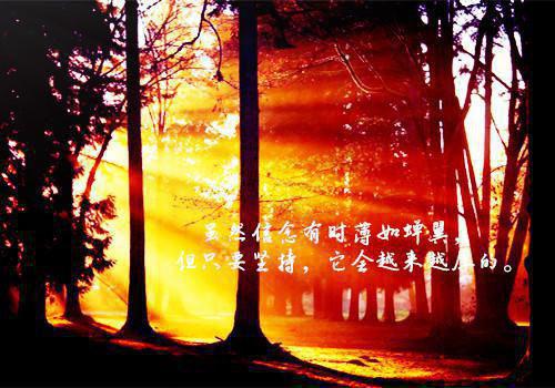 顾念昭月陆泽最新章节更新状态 妈妈把我锁进烤箱三天三夜后,她悔疯了小说顾念昭月陆泽免费阅读全文