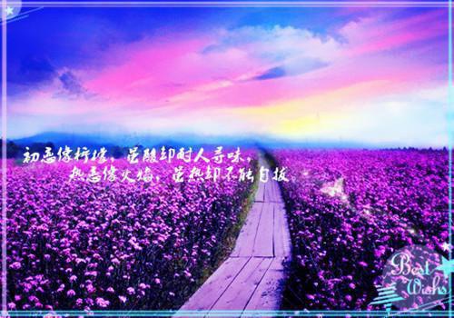 闺蜜齐穿书，你离，我隔一天！小说(完整版)-林南乔夏林时章节阅读