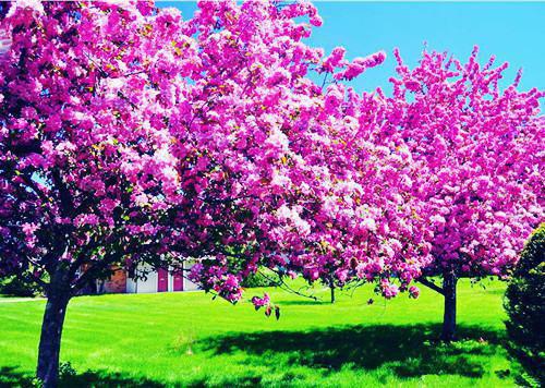 楚凡小说免费阅读最新章节 都帝国第一纨绔了,还要被诬陷?小说全文免费