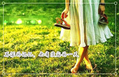 (番外)+(全文)若我沉溺于你的渊:完结下载阅读_(沈若汐陶屿澈 沈若汐)若我沉溺于你的渊:完结最新章节列表_笔趣阁(沈若汐陶屿澈 )