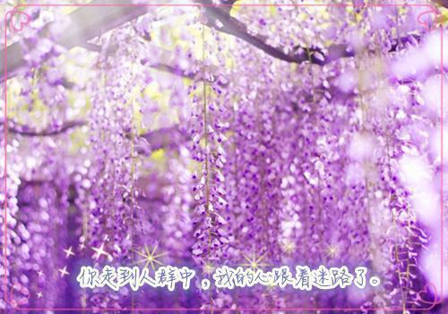 姜瑜琼裴烬原姜杳杳小说 姜瑜琼裴烬原知乎姜瑜琼裴烬原姜杳杳