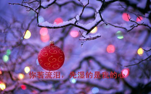 萧平野沈昭仪萧怀安小说 沈昭仪萧平野小说全文免费