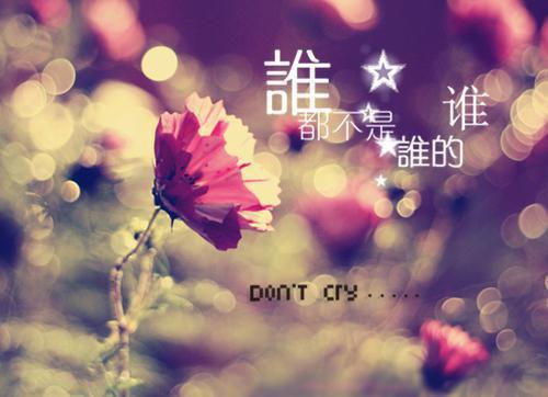 沈若溪傅斯戟免费阅读 沈若溪傅斯戟全文免费阅读