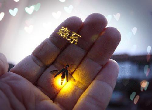 清灵李如风柳鸢儿结局 春风言相守，落花言别离知乎清灵李如风柳鸢儿