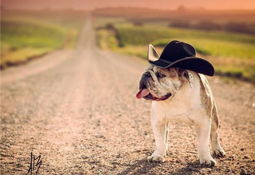 郁柚柠傅郁风免费阅读 找回丢失的弟弟后免费阅读郁柚柠傅郁风小说