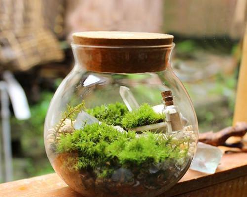 许眠叫什么小说 万人嫌露脸后全网爆火笔趣阁最新章节