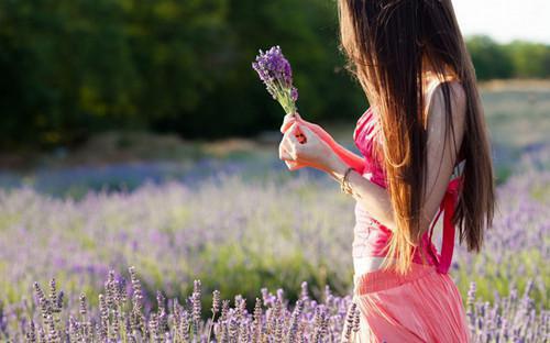 苏清雨裴沐风谢临风林蓁蓁最新章节更新状态 过雨云烟电子书