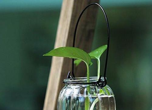 季小姐兰序和谁在一起了 季姜完整版