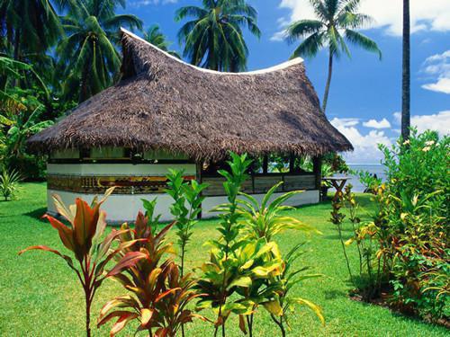 陆扬免费阅读最新章节结局 结婚前夕,未婚夫和妹妹找人殴打我未删减小说