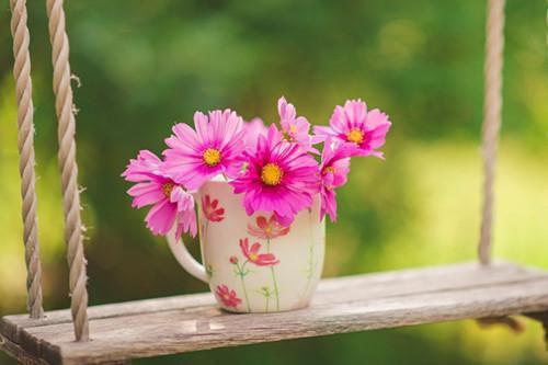 秦华悦谢琛笔趣阁 秦华悦谢琛陈穗小说秦华悦谢琛