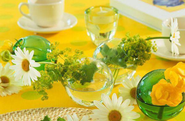 (番外)+(全文)愿君朝朝暖，自此山高远最新章节全文无删减txt下载阅读_(林悦兮苏沐宇 )愿君朝朝暖，自此山高远最新章节列表_笔趣阁(林悦兮苏沐宇 )