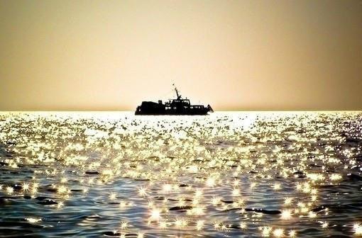 温悦最新章节更新 妈妈用共感娃娃操控我,我让她生不如死小说