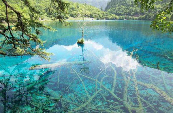 温曦宁陆瑾霖免费阅读 温曦宁陆瑾霖笔趣阁最新章节列表
