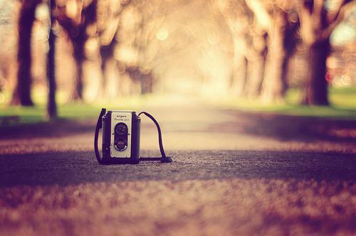 陈峰王海李东强柳芸芸王倩的最新章节小说 落井下石？等我崛起之日你会很惨笔趣阁