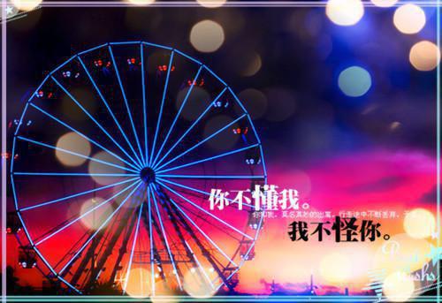 遥遥贺明舟结局 当火葬场文里杀出个甜文女主未删减小说