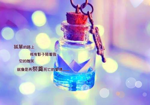 陈招娣沈清岚沈娇娇小说结局 归途家女小说正版阅读