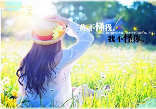 贺敬辞江若初的小说叫什么 江若初贺敬辞（ABC）免费阅读