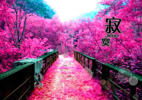 姜萝傅彦诚（回首岁岁安：精彩章节免费试读结局+番外）完结阅读无弹窗大结局_姜萝傅彦诚最新章节列表_笔趣阁（回首岁岁安：精彩章节免费试读结局+番外）