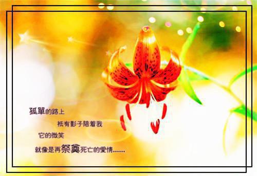 靳菲儿唐允哲孟思远结局 行至云边爱消散:唐允哲靳菲儿唐允哲孟思远小说