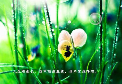 崔明庭小说叫什么名字 宋今熙崔明庭原著在线阅读