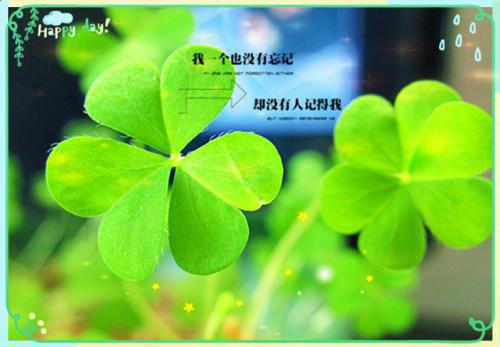 恐怖副本男友的拖延症白月光害死大家（云汐沈云飞程心柔）最新推荐_最新推荐恐怖副本男友的拖延症白月光害死大家（云汐沈云飞程心柔）