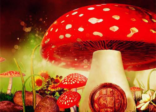 全本婚短情长（宋屿安明希）最新章节列表_全本婚短情长全文阅读