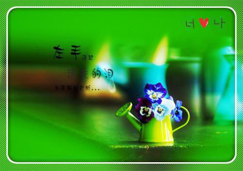 陆风宸谢清宜免费阅读最新章节 谢清宜陆风宸免费阅读全文