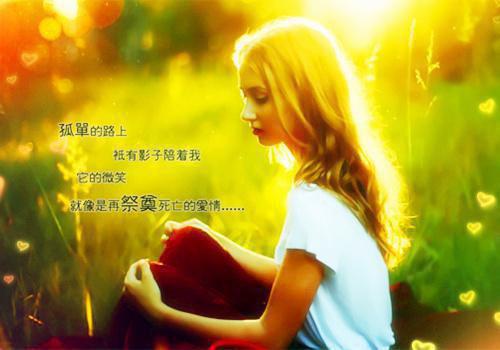 崔怀瑾沈青辞小说叫什么名字 半生霜雪路,一世不同归小说全文阅读