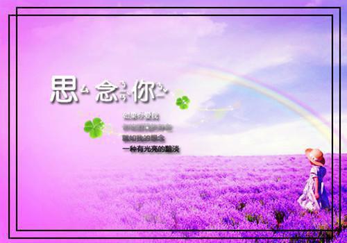 最新章节纵容寡嫂杀我全家后，黑道太子悔疯了（沈念厉沉枭）_纵容寡嫂杀我全家后，黑道太子悔疯了沈念厉沉枭最新章节