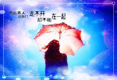 陆续洲沈悦清清最新章节列表 前妻回来,我装疯卖傻笔趣阁