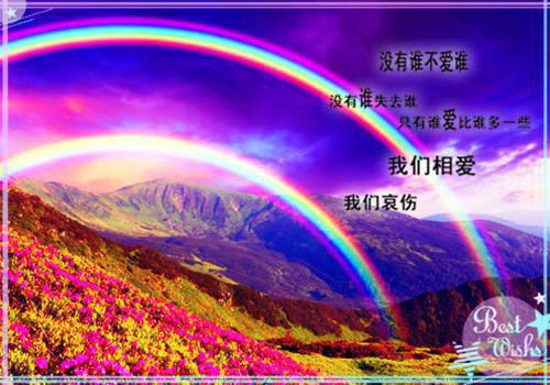 沈若溪傅斯戟小说免费阅读 沈若溪傅斯戟结局