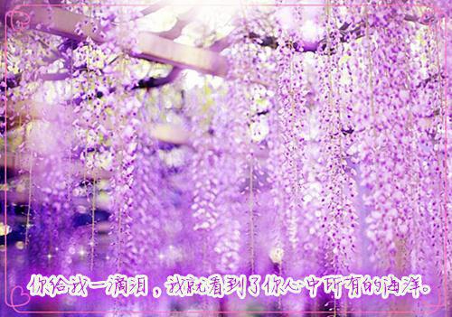 沈城江煜小说叫什么名字 网恋到毒舌老师后未删减小说