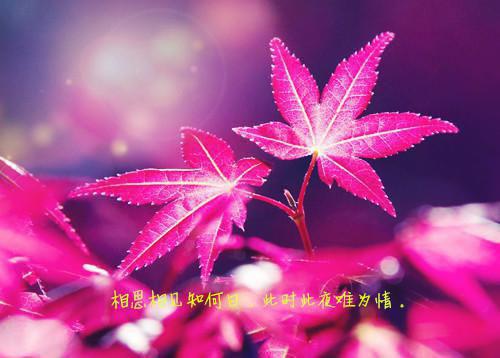 爸妈让我睡棺材赎罪，我长眠后他们后悔了（大宝小宝）全文免费阅读无弹窗大结局_（大宝小宝）最新章节列表_笔趣阁（爸妈让我睡棺材赎罪，我长眠后他们后悔了）