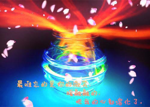 陆南枝谢知衡陆青瑶最新章节内容 今生错许误南枝小说完整版免费