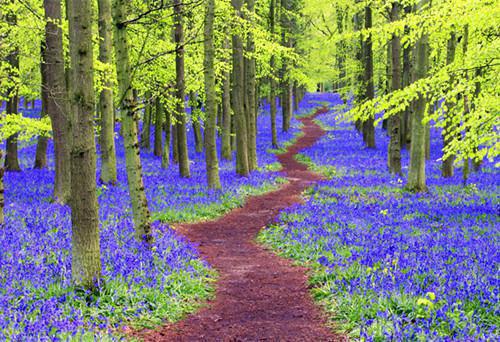 许知然贺叙安孟舒窈小说笔趣阁最新章节 踏遍人间风雪小说免费阅读全文最新章节