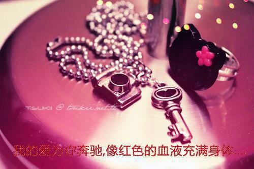 夏知尧顾骞川的最新章节更新时间 夏知尧顾骞川全文阅读