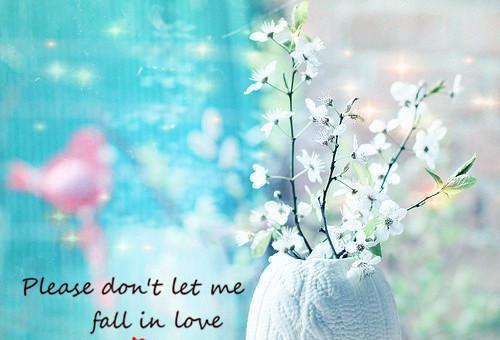 林念好林晚宛免费阅读最新章节 重生后真千金抢我妾室名分：后续林念好林晚宛小说