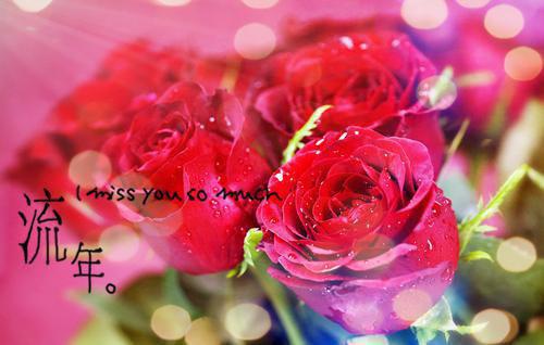 盛雪妍谢安之叶时乖乖林乔的最新章节小说 谢安之盛雪妍小说免费阅读全文最新章节