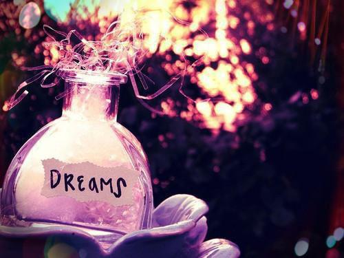 虞语念闻靳言沈昕柔小说免费阅读最新章节 回忆是一座孤岛短篇小说